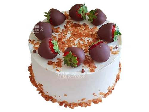торты под ключ на праздник