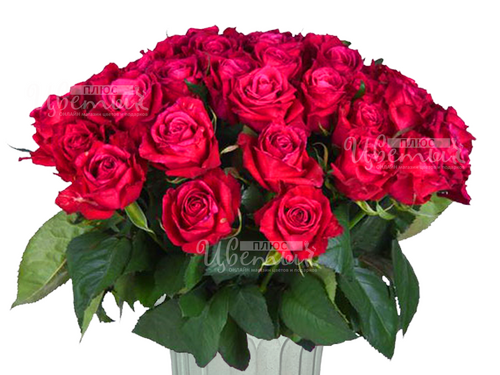 Шангри-Ла